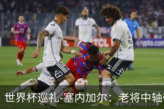 世界杯巡礼-塞内加尔：老将中轴带来安全感，非洲顶流前景可期！